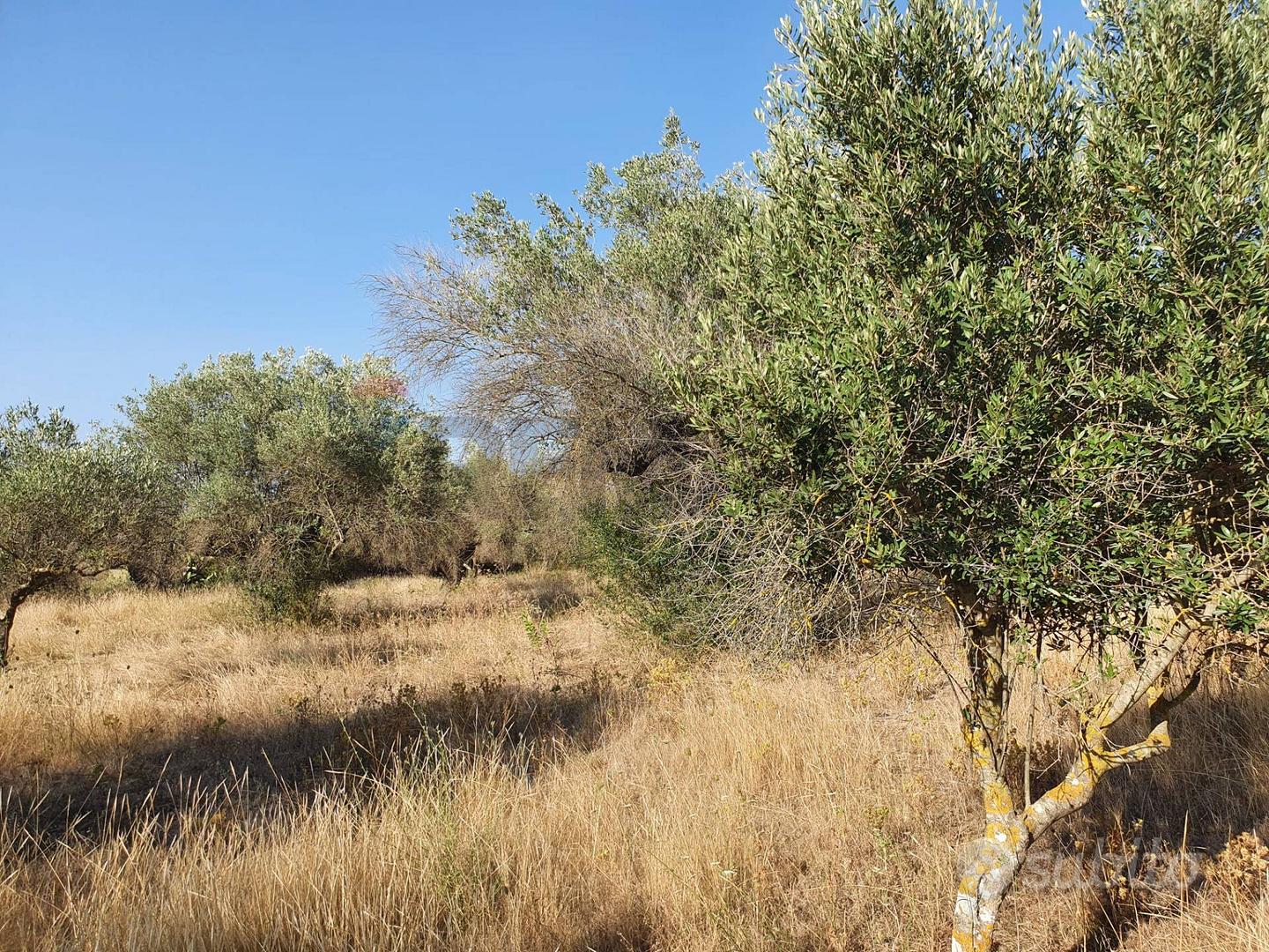 Terreno - Caltagirone - Altro