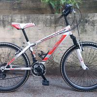 Mountain bike Bambino-Ragazzo
