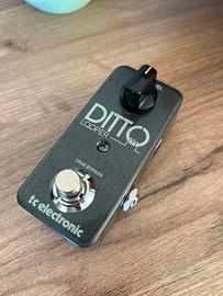 Looper DITTO TC Electronics