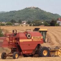 Mietitrebbia NewHolland 3560 AL