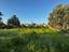Immagine 26