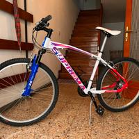 Bicicletta