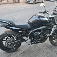 Yamaha FZ6