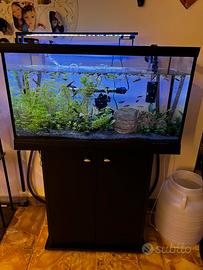 Acquario 120 litri completo di tutto
