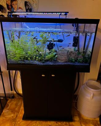 Acquario 120 litri completo di tutto