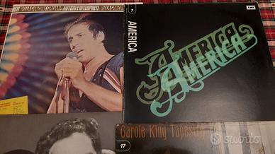 DISCHI VINILE 33 GIRI 