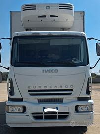 Motrice frigo Iveco 