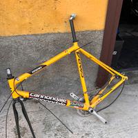 Telaio CANNONDALE  e cerchi Mavic