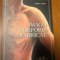 Libro imago corporis fabricae