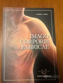 Libro imago corporis fabricae