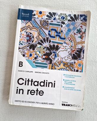 Cittadini in rete diritto ed economia quinto anno 