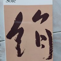 Libro Alessandro Baricco "Soie" in Francese