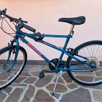 Bicicletta Mountain Bike marca Edoardo Bianchi