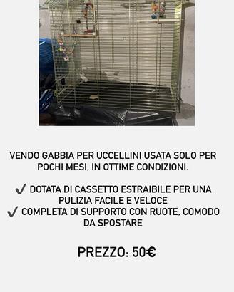 GABBIA UCCELLINI
