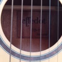 Chitarra Effedot DB1