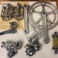 mini gruppo bici campagnolo  nuovo record