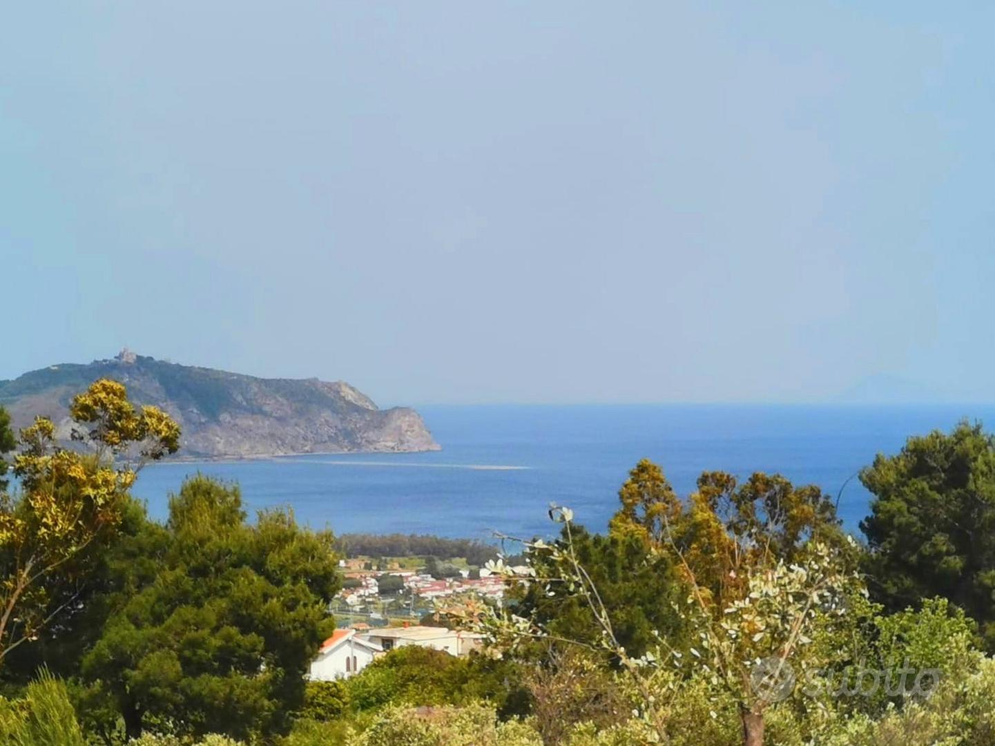 Terreno agricolo, oliveto, Furnari (ME) - Vista 3