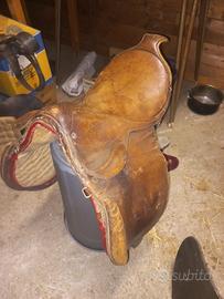 Sella da ufficiale svizzera 