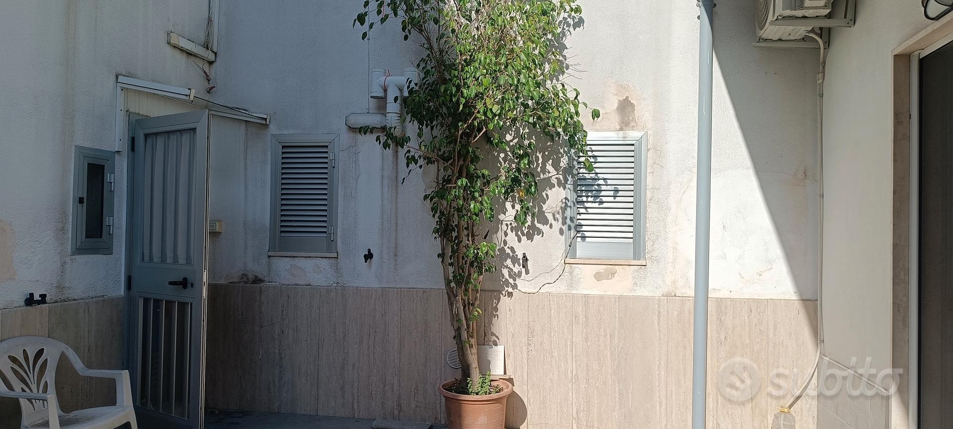 Appartamento – Grottaglie, Taranto - Vista 5
