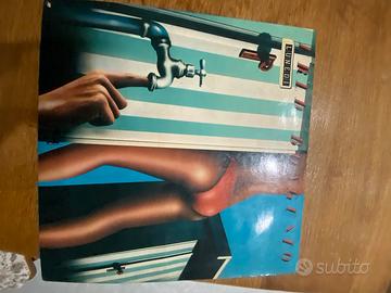 Disco in vinile.