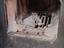 Immagine 5