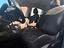 Immagine 13