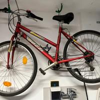 Bicicletta Nuzzi