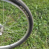 mountain-bike 
