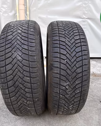 gomme usate 2156016 All Seasons Delinte - Aw6 - 40