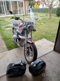 BMW R 1200 C Indipendent bicolore