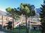 Immagine 7