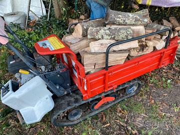 Motocarriola canycom ribaltabile idraulico