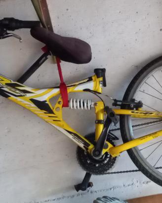 bicicletta 