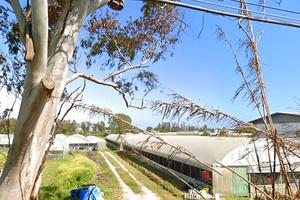 Azienda florovivaistica 20000mq con pozzi e serre