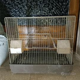 Gabbia zincata per uccelli con accessori