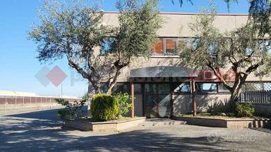 Capannone Industriale Albano Laziale [749ACG]