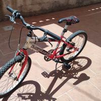 MTB ragazzo da 20"