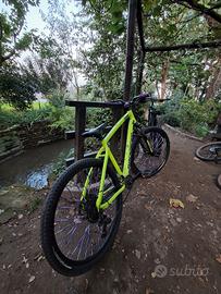 bicicletta