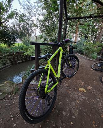 bicicletta