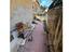 Immagine 14