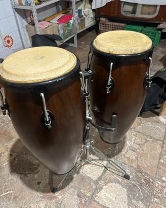 Congas