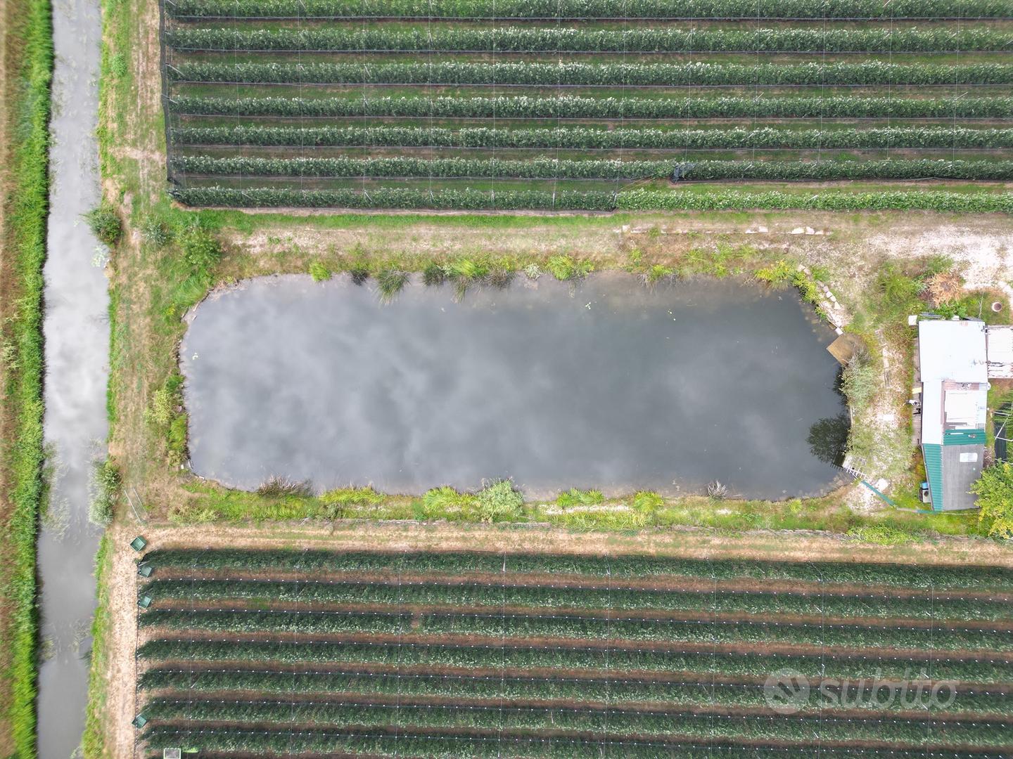 Laghetto da pesca con terreno a Salorno - Vista 4