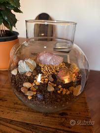 Terrarium di piante grasse (paesaggio marziano)
