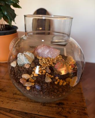 Terrarium di piante grasse (paesaggio marziano)