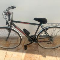 Set 3 Biciclette Shadow