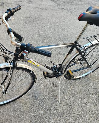 Bicicletta City/Trekking Vicini