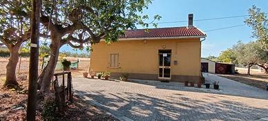 Casa e terreni