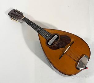 Mandolino Vincenzo De Bonis 1975 piatto
