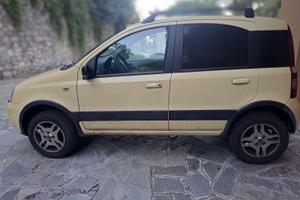 PANDA 4x4 benzina
