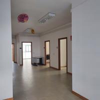 Negozio Vasto [IM202449ACG]